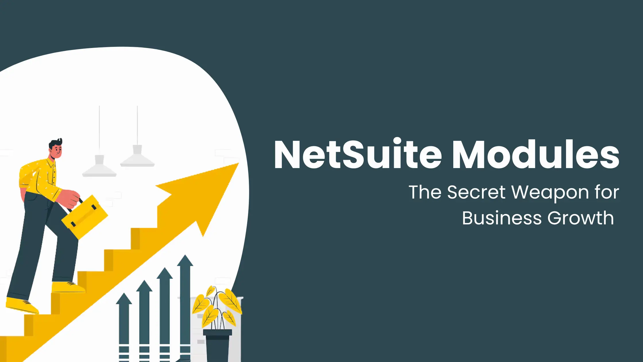 What are NetSuite Modules and their types?