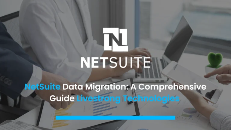 netsuite-data-migration-services