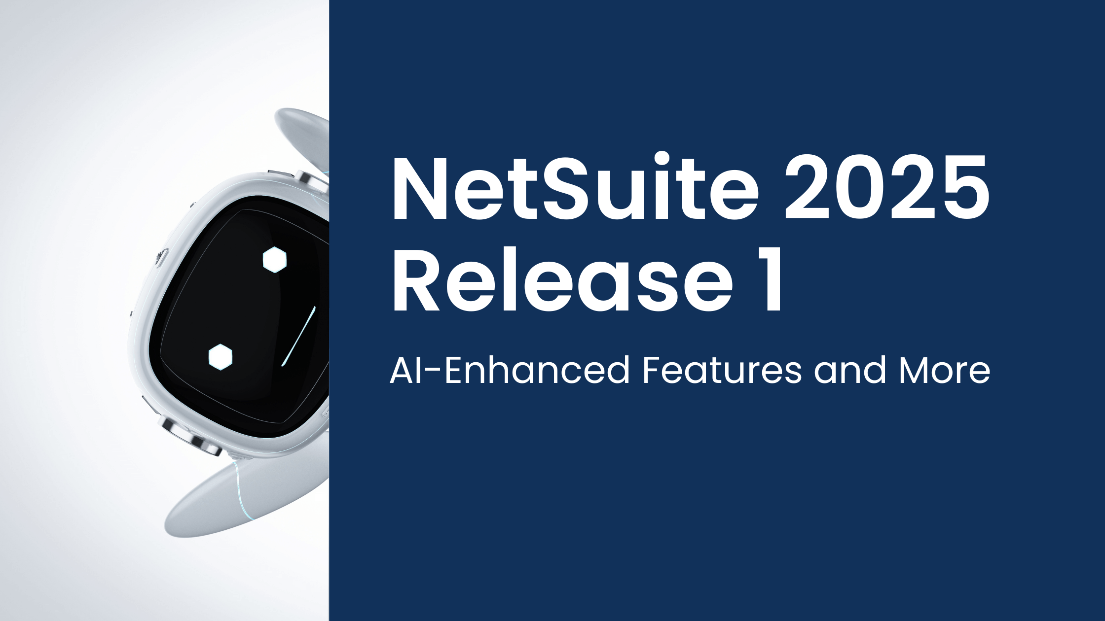 NetSuite 2025 Release 1